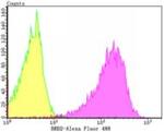 BRD2 Antibody in Flow Cytometry (Flow)