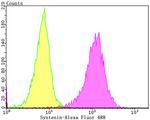 Syntenin 1 Antibody in Flow Cytometry (Flow)