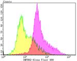 IMPDH2 Antibody in Flow Cytometry (Flow)