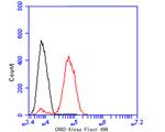 GNB2 Antibody in Flow Cytometry (Flow)