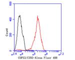 COPS3 Antibody in Flow Cytometry (Flow)