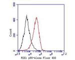 RSK1 Antibody in Flow Cytometry (Flow)