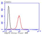 ERp72 Antibody in Flow Cytometry (Flow)