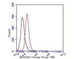 SPATA5L1 Antibody in Flow Cytometry (Flow)