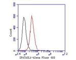 SPATA5L1 Antibody in Flow Cytometry (Flow)