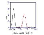 Factor XIII A Antibody in Flow Cytometry (Flow)