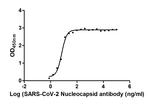 SARS-CoV-2 Nucleocapsid Chimeric Antibody in ELISA (ELISA)