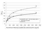 SARS/SARS-CoV-2 Spike Protein S2 Antibody in ELISA (ELISA)