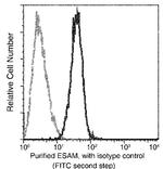 ESAM Recombinant Rabbit Monoclonal Antibody (113)