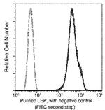 Leptin Antibody in Flow Cytometry (Flow)