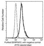 SERPINF2 Monoclonal Antibody (08)