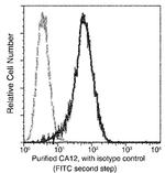 CA12 Monoclonal Antibody (11)