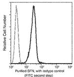 14-3-3 sigma Monoclonal Antibody (02)