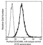 CEACAM5 Recombinant Rabbit Monoclonal Antibody (061)