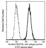 Nicastrin Recombinant Rabbit Monoclonal Antibody (002)
