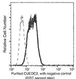 CUEDC2 Monoclonal Antibody (08)