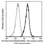 CEACAM3 Monoclonal Antibody (06)