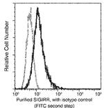 SIGIRR Recombinant Rabbit Monoclonal Antibody (010)