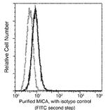 MICA Monoclonal Antibody (04)