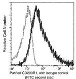 CD200R Recombinant Rabbit Monoclonal Antibody (181)