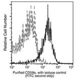 CD59 Recombinant Rabbit Monoclonal Antibody (108)