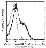 ITGA5/ITGB1 Monoclonal Antibody (05)