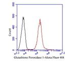 Glutathione Peroxidase 1 Antibody in Flow Cytometry (Flow)