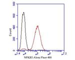 NFkB p100 Antibody in Flow Cytometry (Flow)