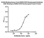 SARS-CoV-2 Nucleocapsid Monoclonal Antibody (A4E1)