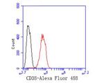 CD38 Antibody in Flow Cytometry (Flow)