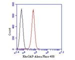 ARHGAP5 Antibody in Flow Cytometry (Flow)
