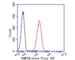 CHMP2B Antibody in Flow Cytometry (Flow)