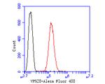 VPS28 Antibody in Flow Cytometry (Flow)