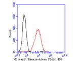 Glycerol kinase Antibody in Flow Cytometry (Flow)