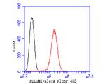 PDLIM1 Antibody in Flow Cytometry (Flow)