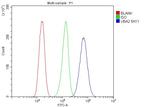 UBA2 Antibody in Flow Cytometry (Flow)