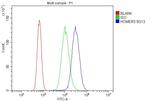 HOMER3 Antibody in Flow Cytometry (Flow)