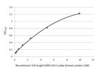 SARS-CoV-2 Spike Protein S1 Antibody in ELISA (ELISA)