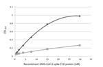 SARS-CoV-2 Spike Protein S1 Antibody in ELISA (ELISA)