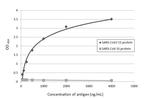 SARS-CoV-2 Spike Protein S1 Antibody in ELISA (ELISA)