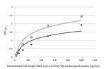 SARS-CoV-2 Nucleocapsid Antibody in ELISA (ELISA)