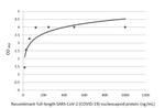 SARS-CoV-2 Nucleocapsid Antibody in ELISA (ELISA)