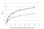 SARS-CoV-2 Spike Protein S2 Antibody in ELISA (ELISA)