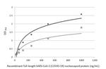 SARS-CoV-2 Nucleocapsid Antibody in ELISA (ELISA)