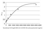 SARS-CoV-2 Nucleocapsid Antibody in ELISA (ELISA)