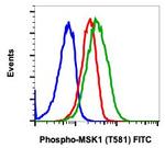 Phospho-MSK1 (Thr581) Recombinant Rabbit Monoclonal Antibody (MSK1T581-A5), FITC
