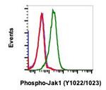 Phospho-Jak1 (Tyr1034, Tyr1035) Antibody in Flow Cytometry (Flow)
