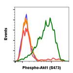 Phospho-Akt1 (Ser473) Antibody in Flow Cytometry (Flow)
