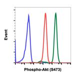 Phospho-Akt1 (Ser473) Antibody in Flow Cytometry (Flow)