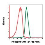 Phospho-Akt1 (Ser473) Antibody in Flow Cytometry (Flow)